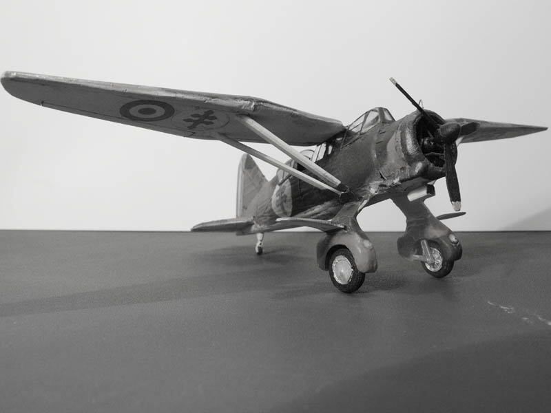 Lysander FFL 901706W032