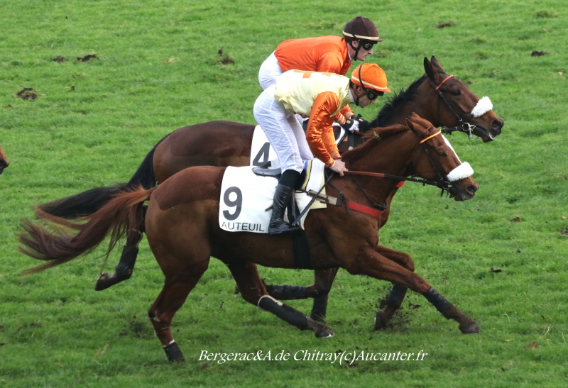 Photos Auteuil 27-11-2016 9023805J6A2769