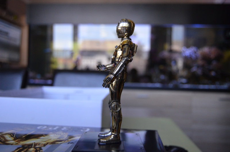 C-3PO de Bandai 903370DSC0004