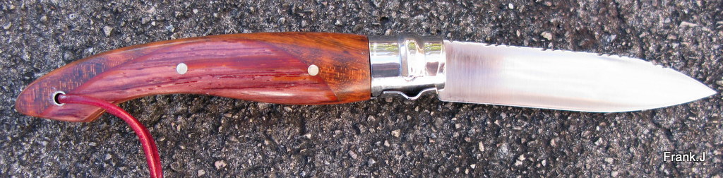 Opinel "customs" 2012 made in Frank - Page 11 904728IMG8108