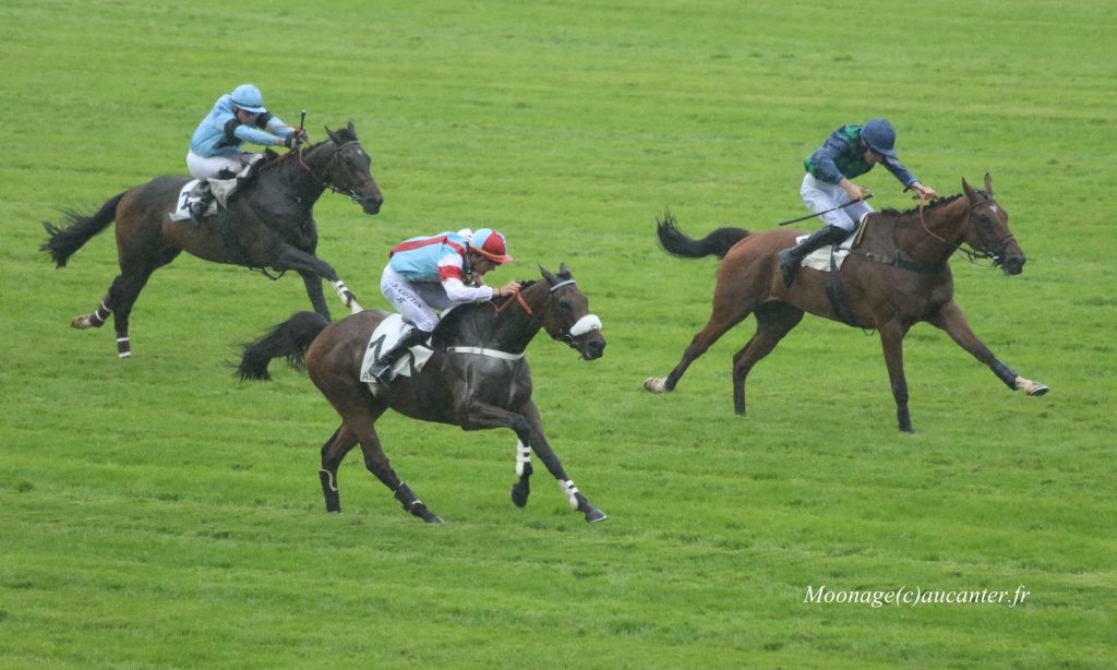 Photos Auteuil 12-06-2016 - Page 2 9074435J6A3774