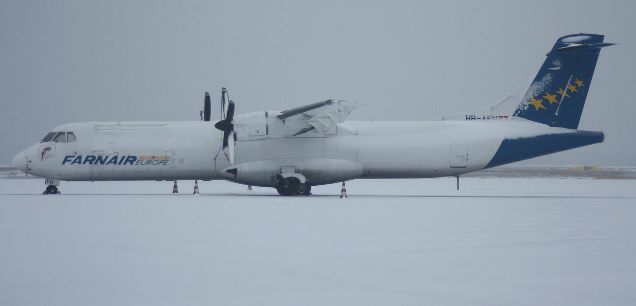 Spotting du 18/01/2013: Sous la neige...  909910IMG2945