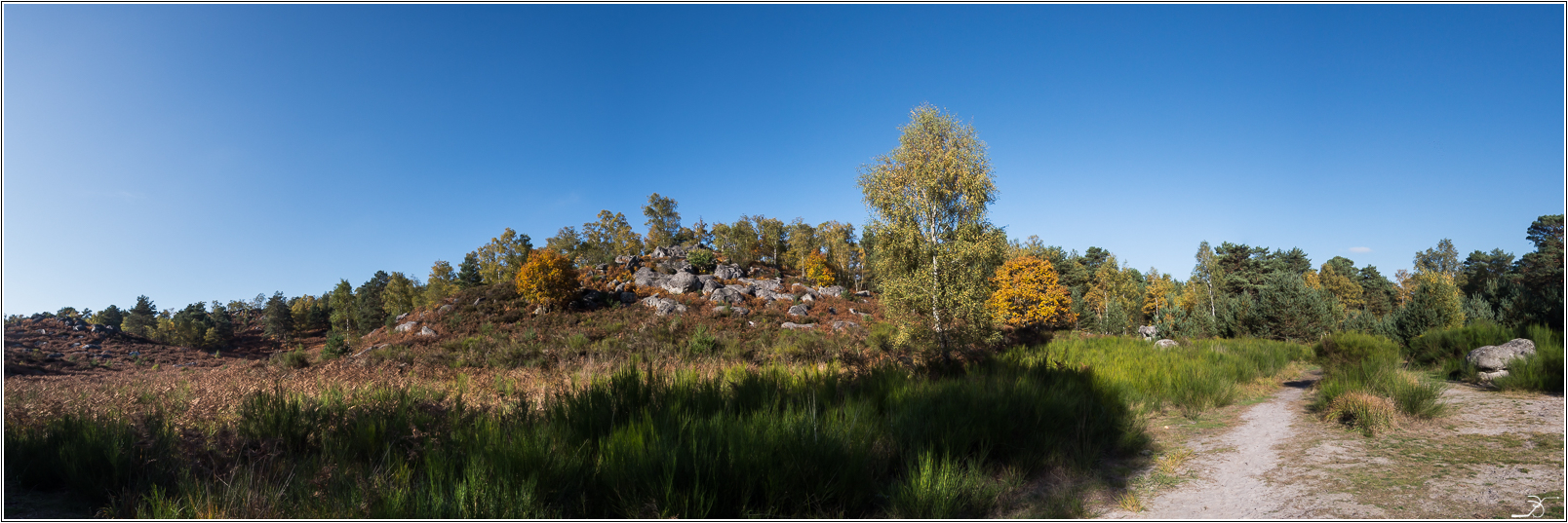 Rochers de Barbizon: suite 913467LR6P1240977Panorama