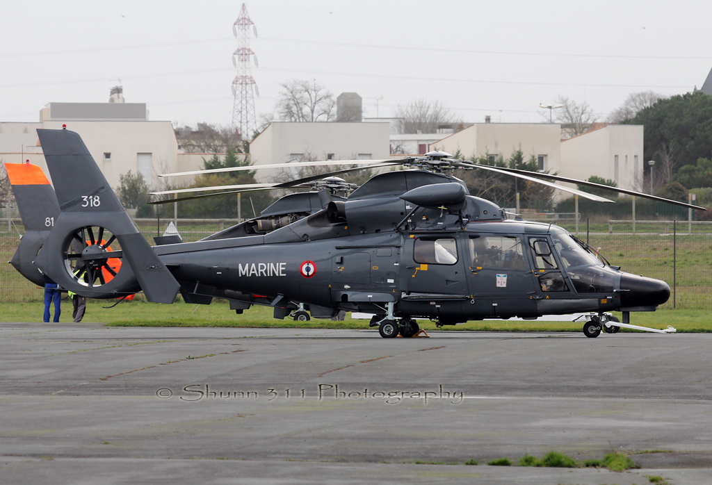 Spotting du 18 Décembre 2012 918185DauphinFrenchNavy381001LRH181212EPajaud