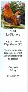 Les doubles de Savoyman - Page 18 91983803LePictave