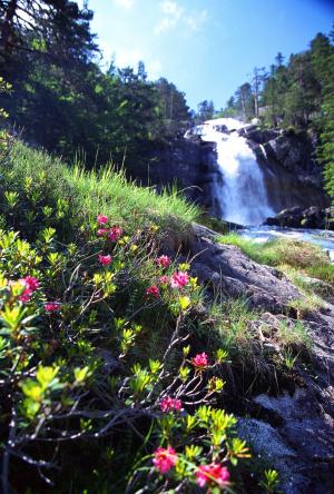 Parcs,réserves- Parcs nationaux - Les Pyrénées - 9229976821