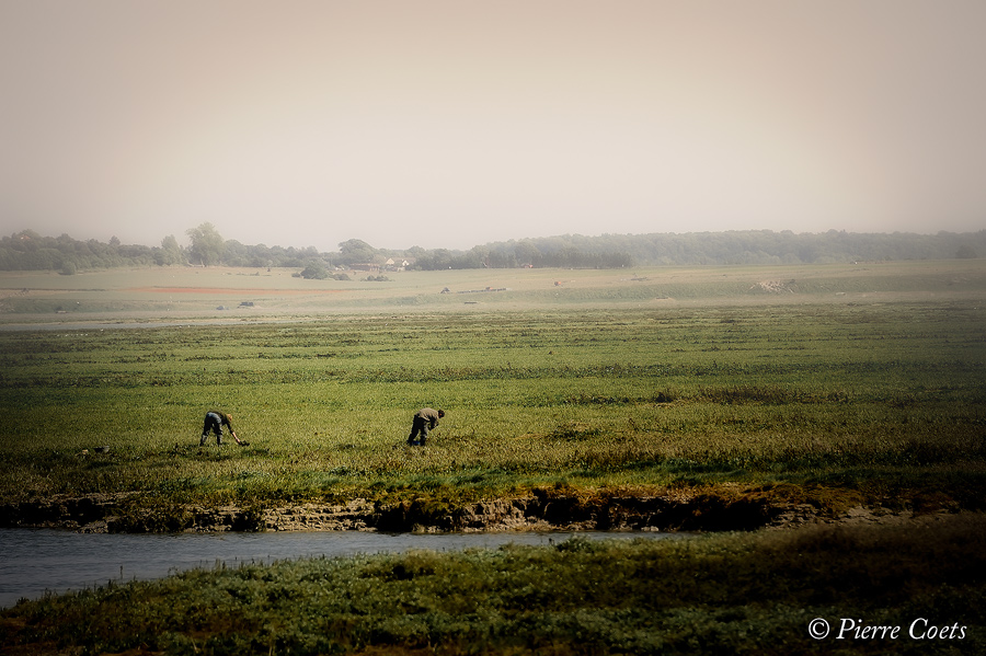  WK en Baie de Somme le 20, 21 et 22 Mai 2011 : Les photos 924595PIE4804