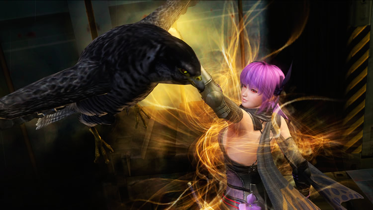 Toutes les images de Ninja Gaiden III : Razor's Edge 9266515710