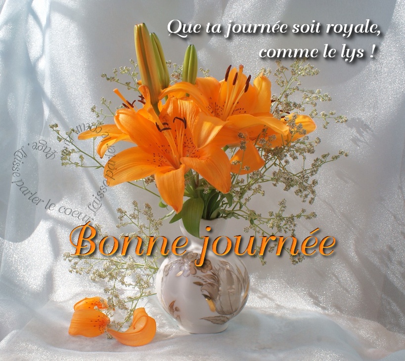 Bon Mercredi 927949bonnejournee073