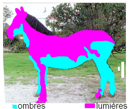 Ombres et Lumières pour Débutant [ Cheval de Profil ] 929357Sanstitre3