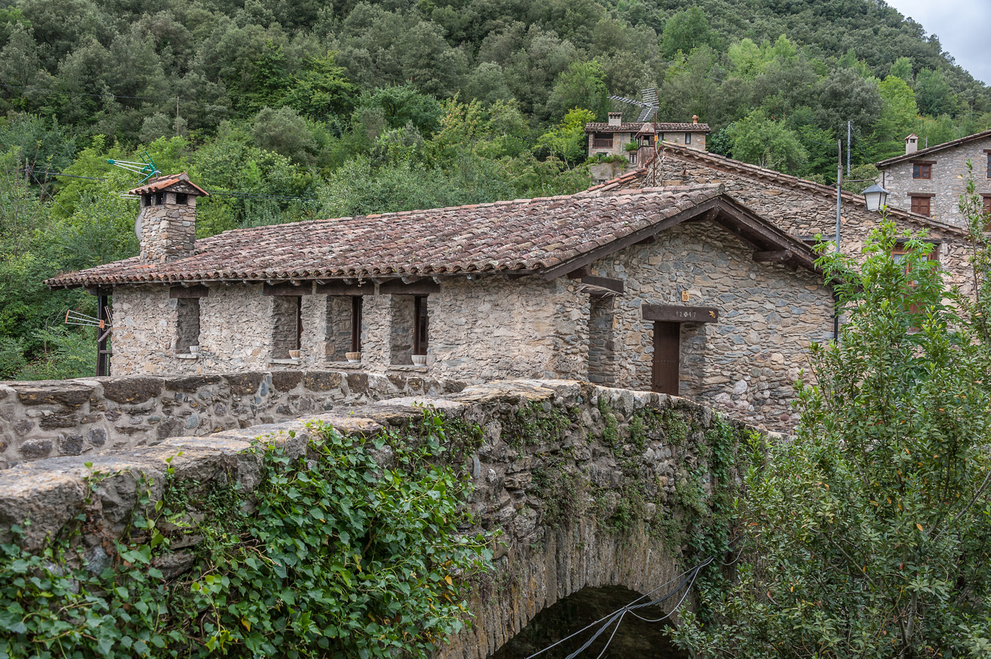 Espagne - Le Ripolles et la Garrotxa 930372DCS4389pp