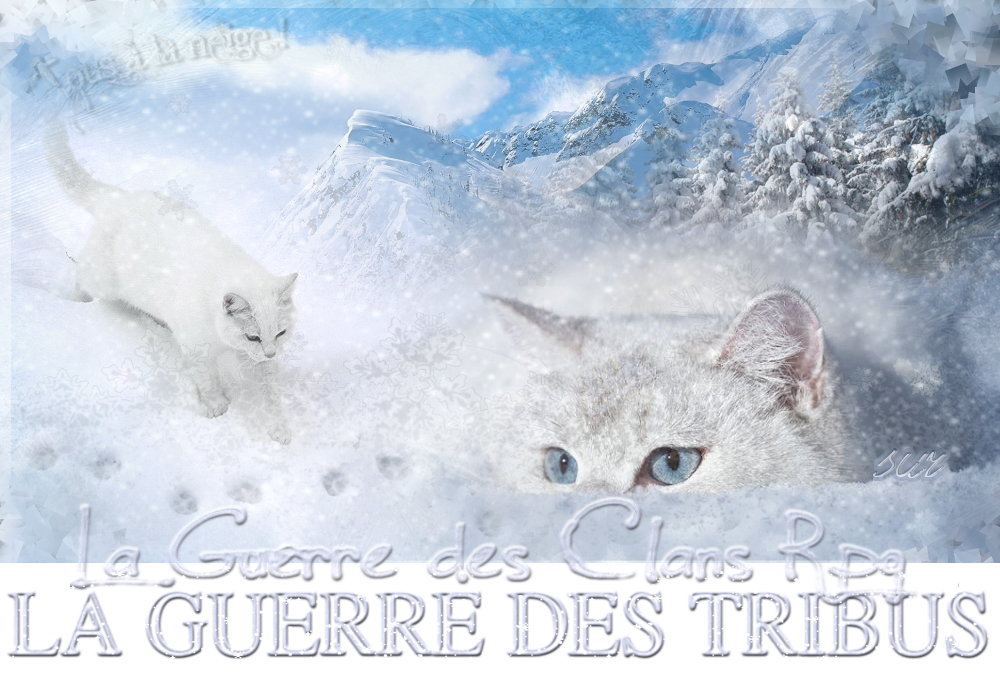 Hiver 2014 : Snow Design 930545Bann