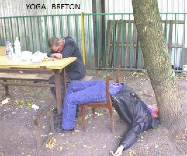 Humour et blagues divers - Page 19 932833yogabreton