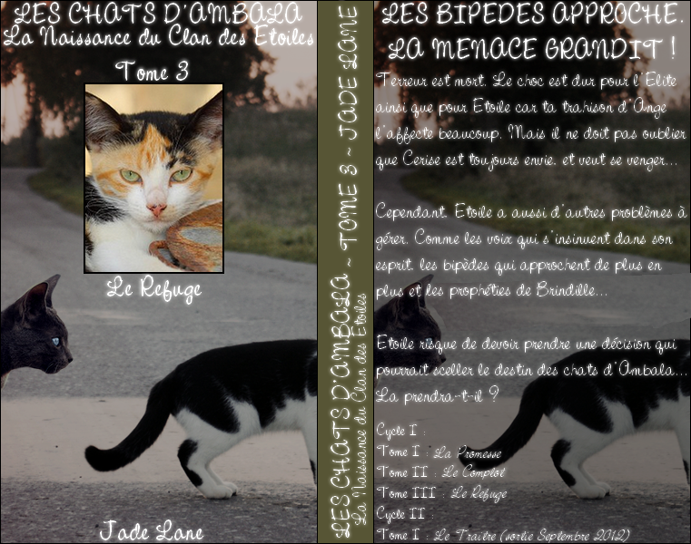 CYCLE 1: les chats d'ambala - Page 2 935093TomeIII