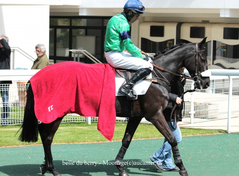 Photos Auteuil 27-04-2016 - Page 2 935893IMG1092