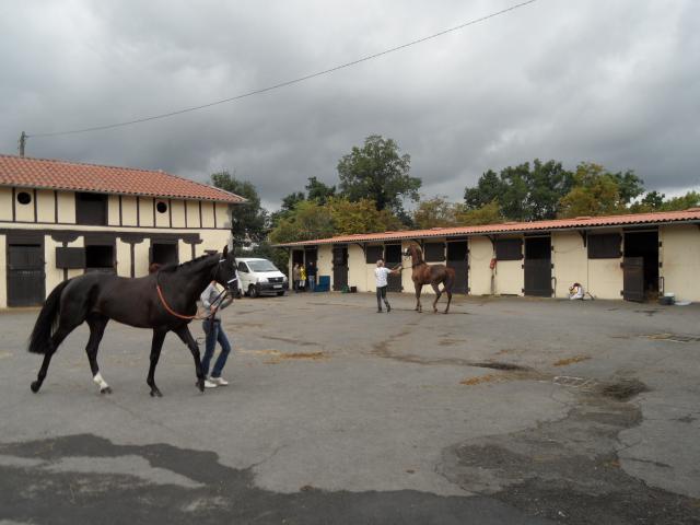 Tiercé à l'hippodrome d'Aurillac 939333SAM0127