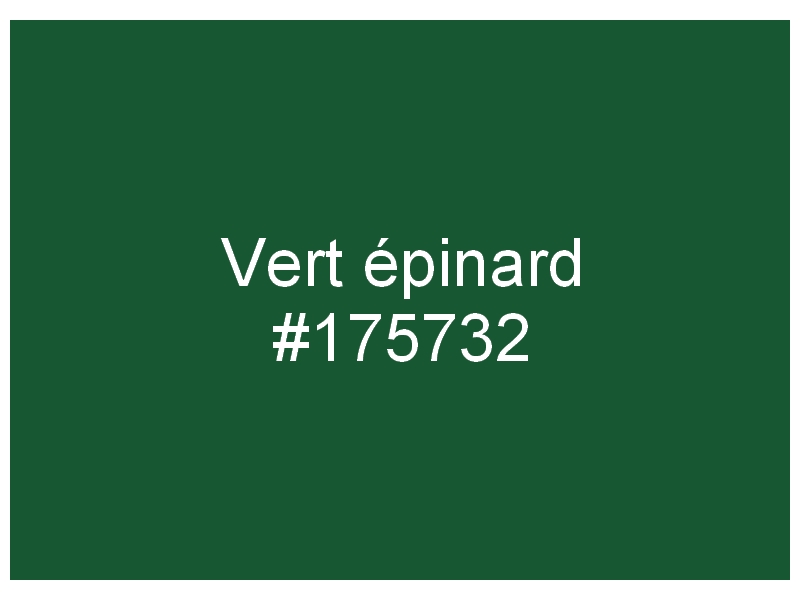 Champ chromatique vert 943321Vertpinard