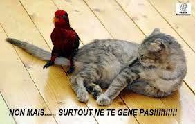 TENDRESSE !!! - Page 2 944165gne