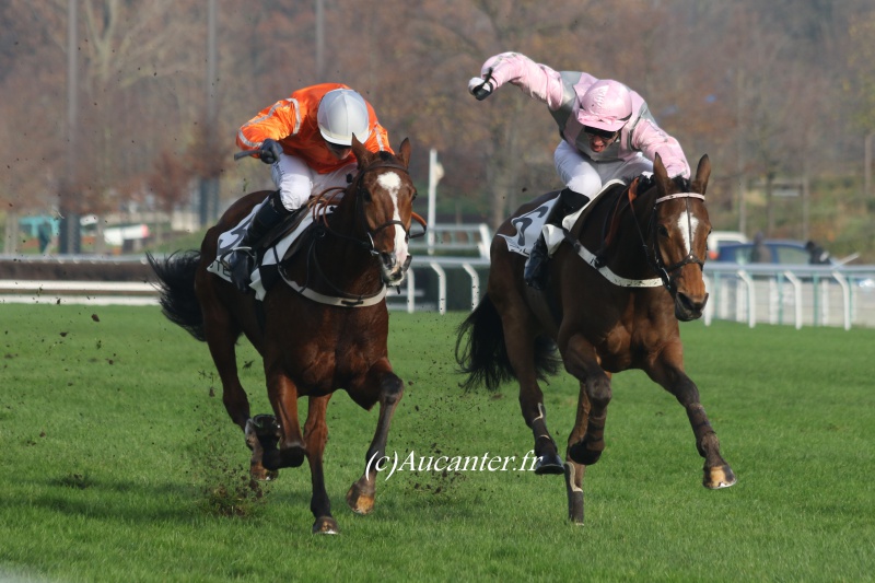 Photos Auteuil 27-11-2016 9458315J6A2566