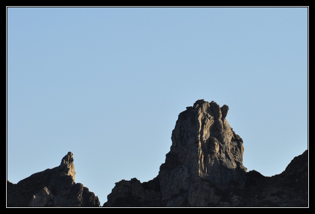 Une vie pyrénéenne de labrit des pyrénées - Page 4 947737cur0104