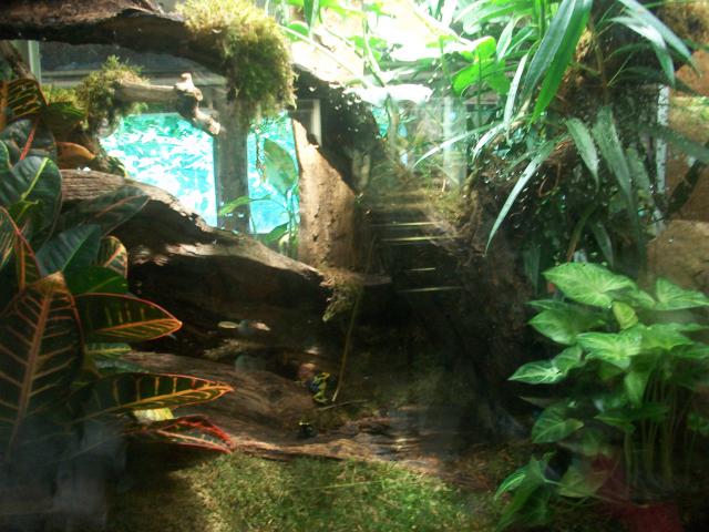 Vivarium de la ménagerie du Jardin des Plantes 9500351009766