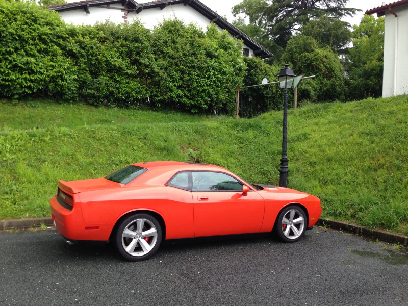 Mon parc Dodge , Challenger + Ram  950496IMG3660