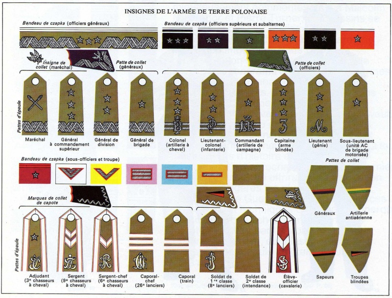 *Les insignes de l'armée Polonaise 951184PolAt