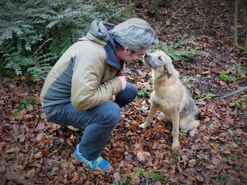 Loona, petite femelle adorable, née en mai 2015 951691P1170748