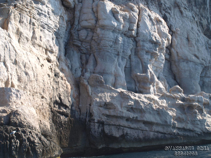 Calanques de Cassis et la ciotat 95958120