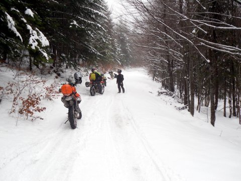 A la conquete du Madrès avec max 15 participants !!!!!!!!!!!!!!! - Page 14 964378SDC18661