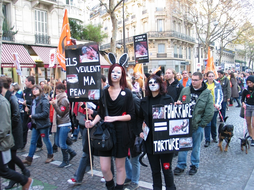 07 - Marche contre la fourrure - Paris 19 novembre 2011. 968336IMG6532