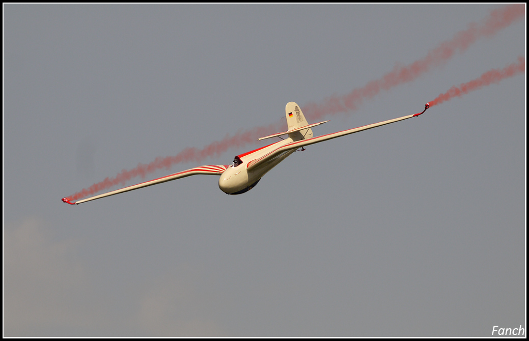 Meeting aérien la Ferté Alais 2014 (ajout 16/06) 971565planeur2