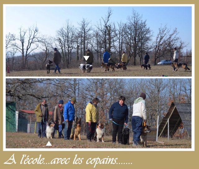 l histoire de mes chiens - L'histoire de mes LOULOUS...... - Page 2 972218lcole