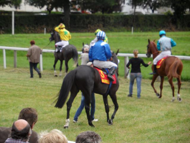 Tiercé à l'hippodrome d'Aurillac 974944SAM0153