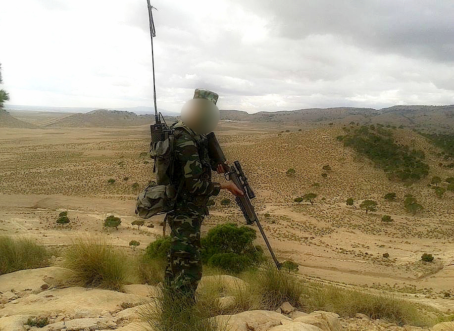 Armée Tunisienne / Tunisian Armed Forces / القوات المسلحة التونسية‎ - Page 32 97611312728883936717373078351669535527281549519n