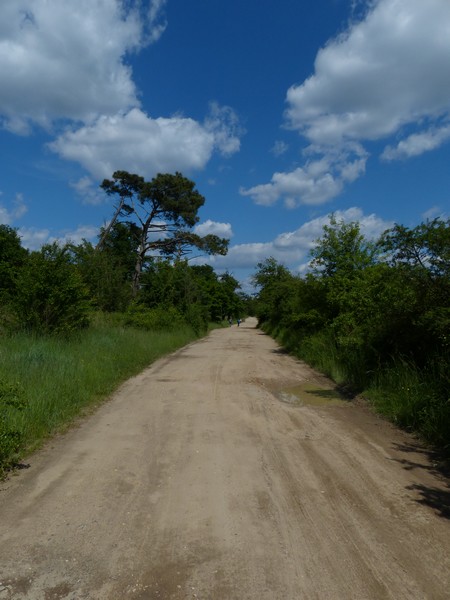 balade en Afrique Ligérienne 978578P10905792