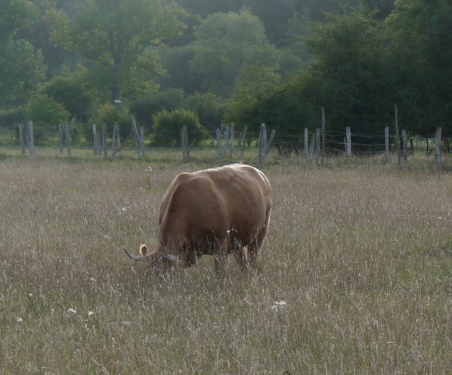 PACY SUR EURE: LE PARIS NORMAND AU COEUR SI TENDRE  - Page 3 978667P1110098