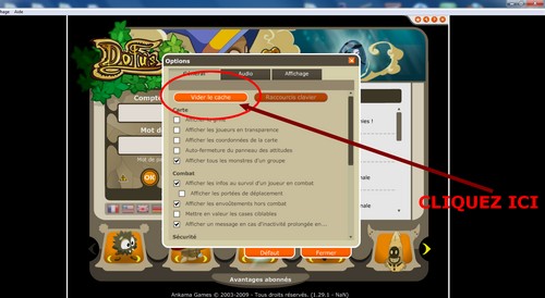 Comment vider son cache dofus? 9808709002