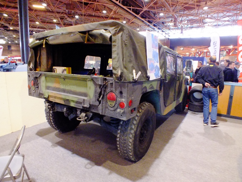 Salon de Lyon Epoqu'Auto ( France ) , édition 2016 . 982780DSCF6531