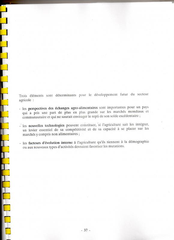 10 iéme plan 984412img045Copie