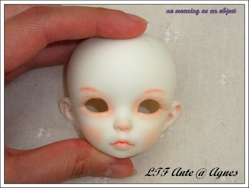 ( ¤ No Meaning...¤ Makeup tattoo) petite volks p.6  98726222