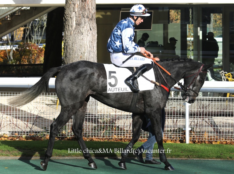 Photos Auteuil 19-11-2016  9894085J6A0962