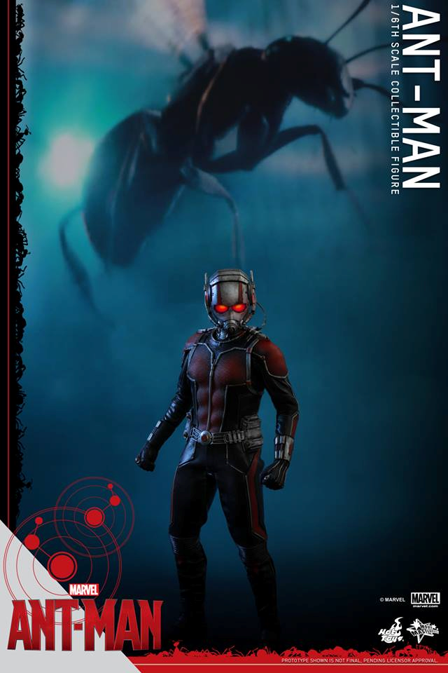 HOT TOYS - Ant-Man - Ant-Man 990621102