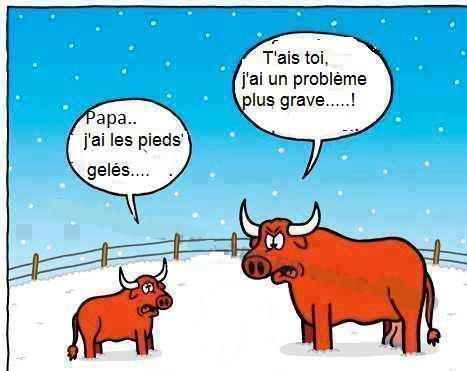 Humour en image ... - Page 30 995979image011111