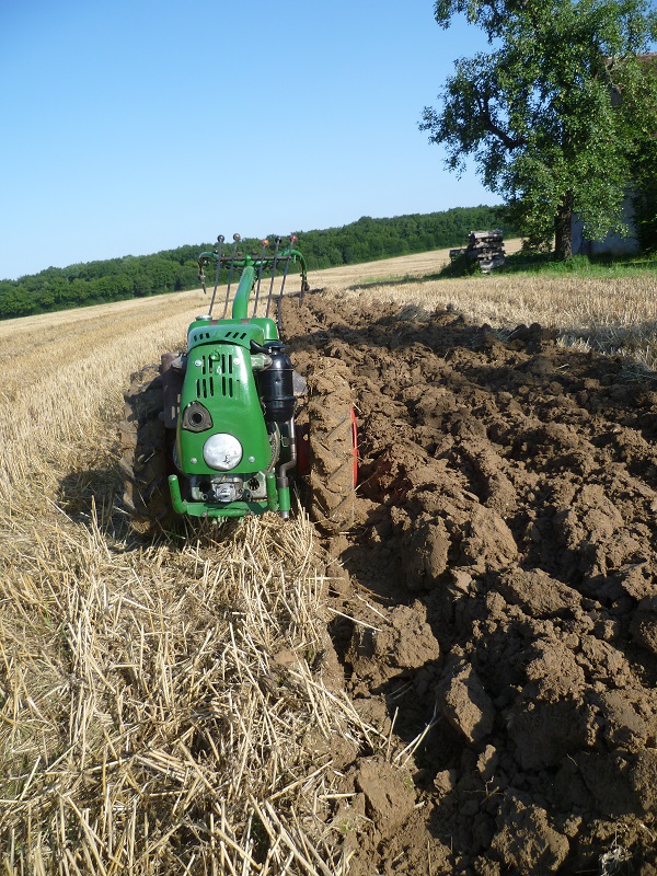 VIARMES 2014 CONCOURS DE LABOUR AUX MOTOCULTEURS 996889Lab314