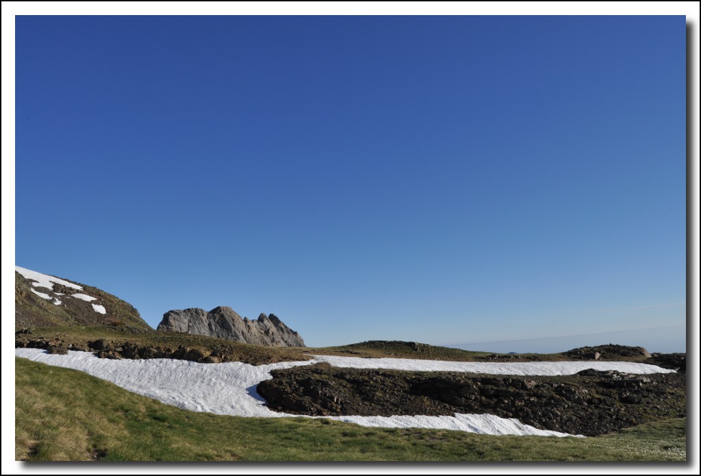 Une vie pyrénéenne de labrit des pyrénées - Page 6 997999arr0343