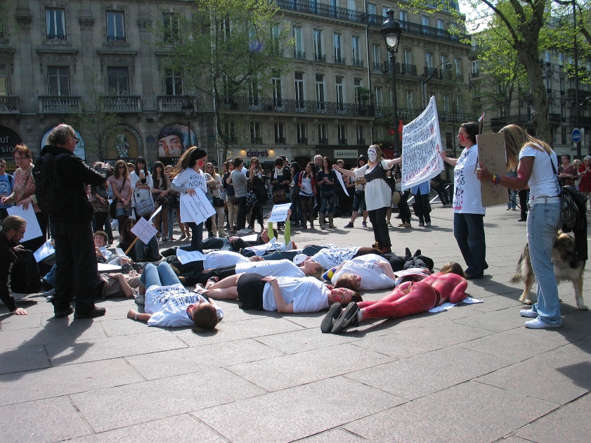 01 - Flashmob de Paris contre l'euthanasie des chiens de Roumanie - 10 avril 2011 998116IMG4957