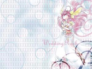 Wedding Peach Mini_120215wp4