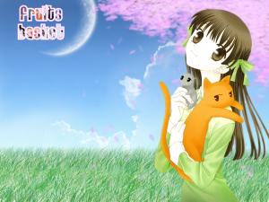 Fruits Basket Mini_128959462