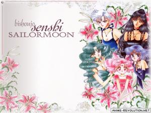 Sailor Moon Mini_240469AROutersChibiMoonBG